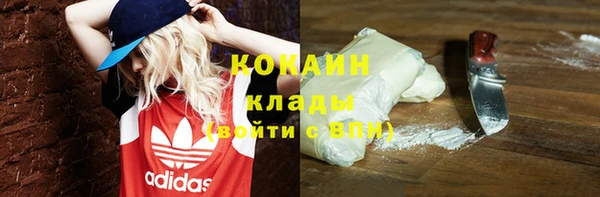 спайс Гусь-Хрустальный