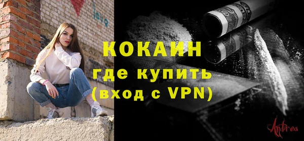 спайс Гусь-Хрустальный