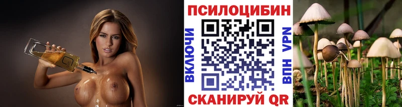 Купить где  Онега  Псилоцибиновые грибы мухоморы 