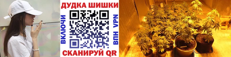 Конопля Amnesia  Купить  Онега 